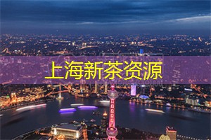 上海夜晚的街头艺人表演